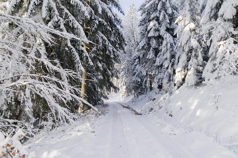 13 - Descente vers le Rudlin.jpg